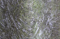 Robertsbridge fibreglass roof work